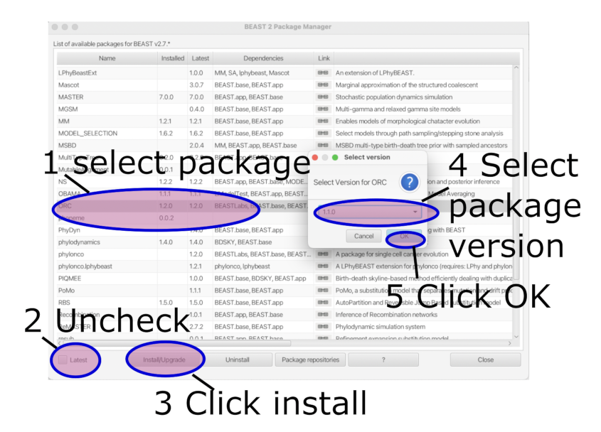 installing packages