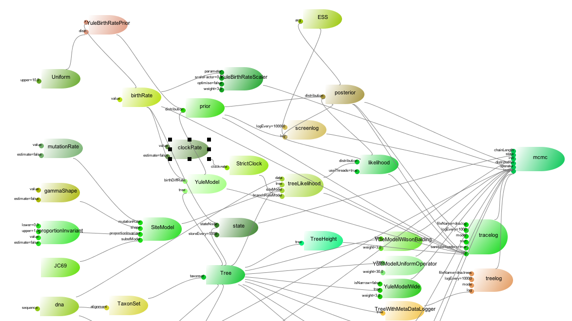 Elements of a BEAST analysis